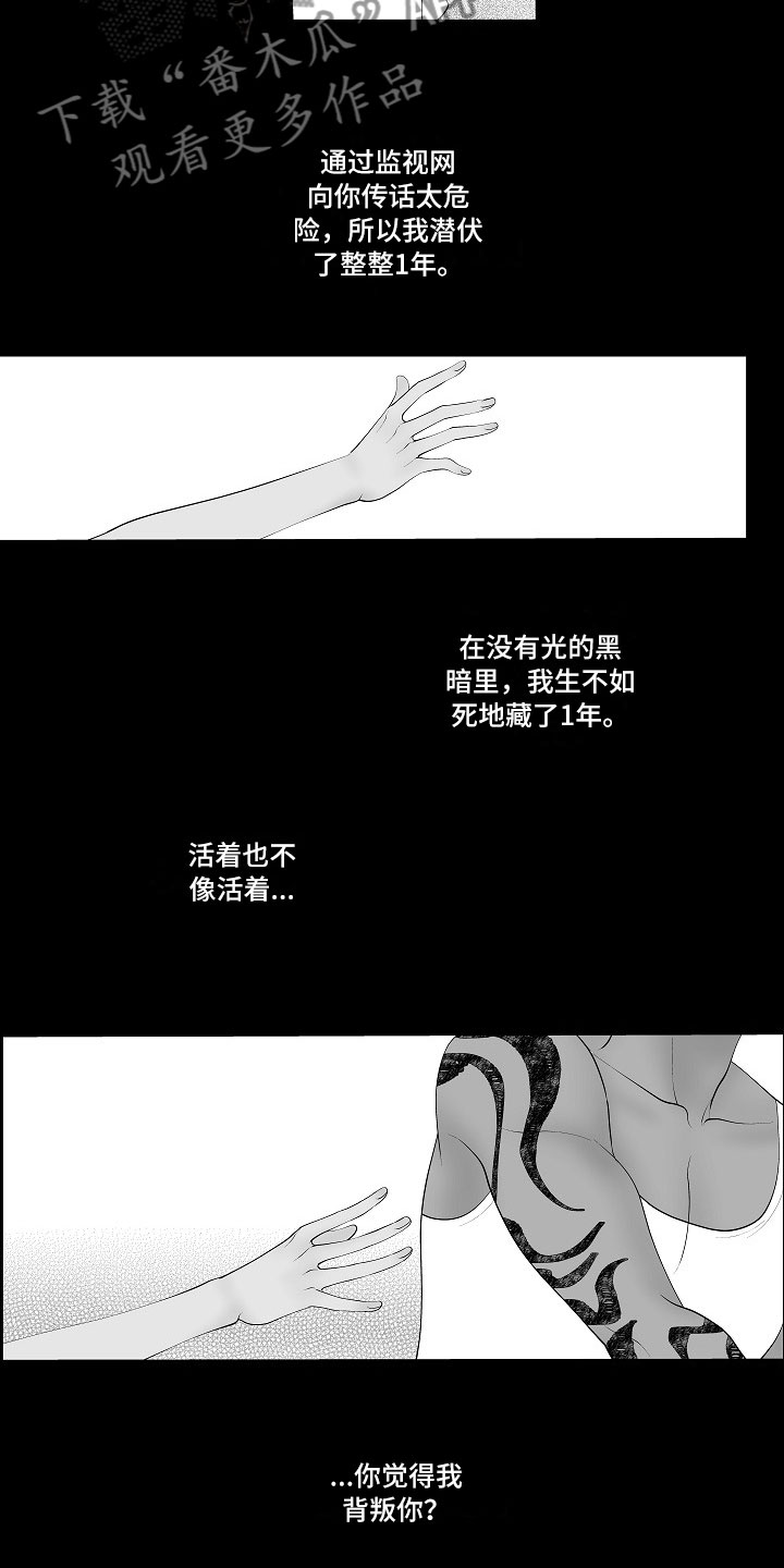 第4章：被逼疯了12