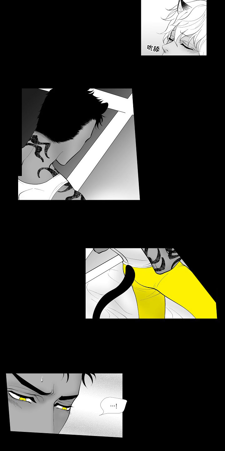 第3章：暗中观察4