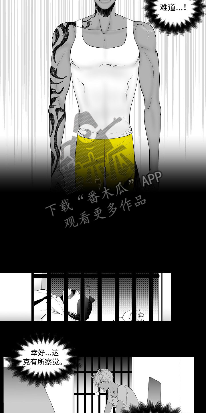 第13章：重要的事6