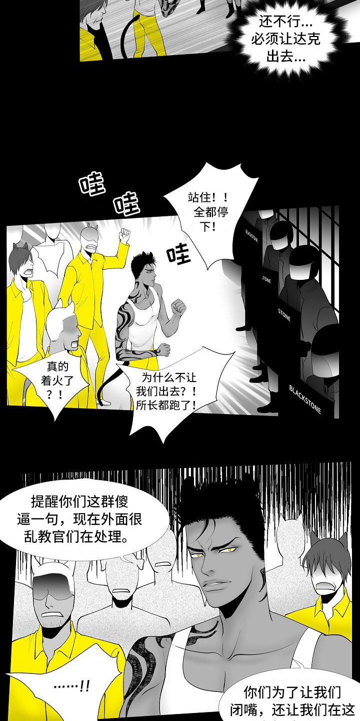 第13章：重要的事8