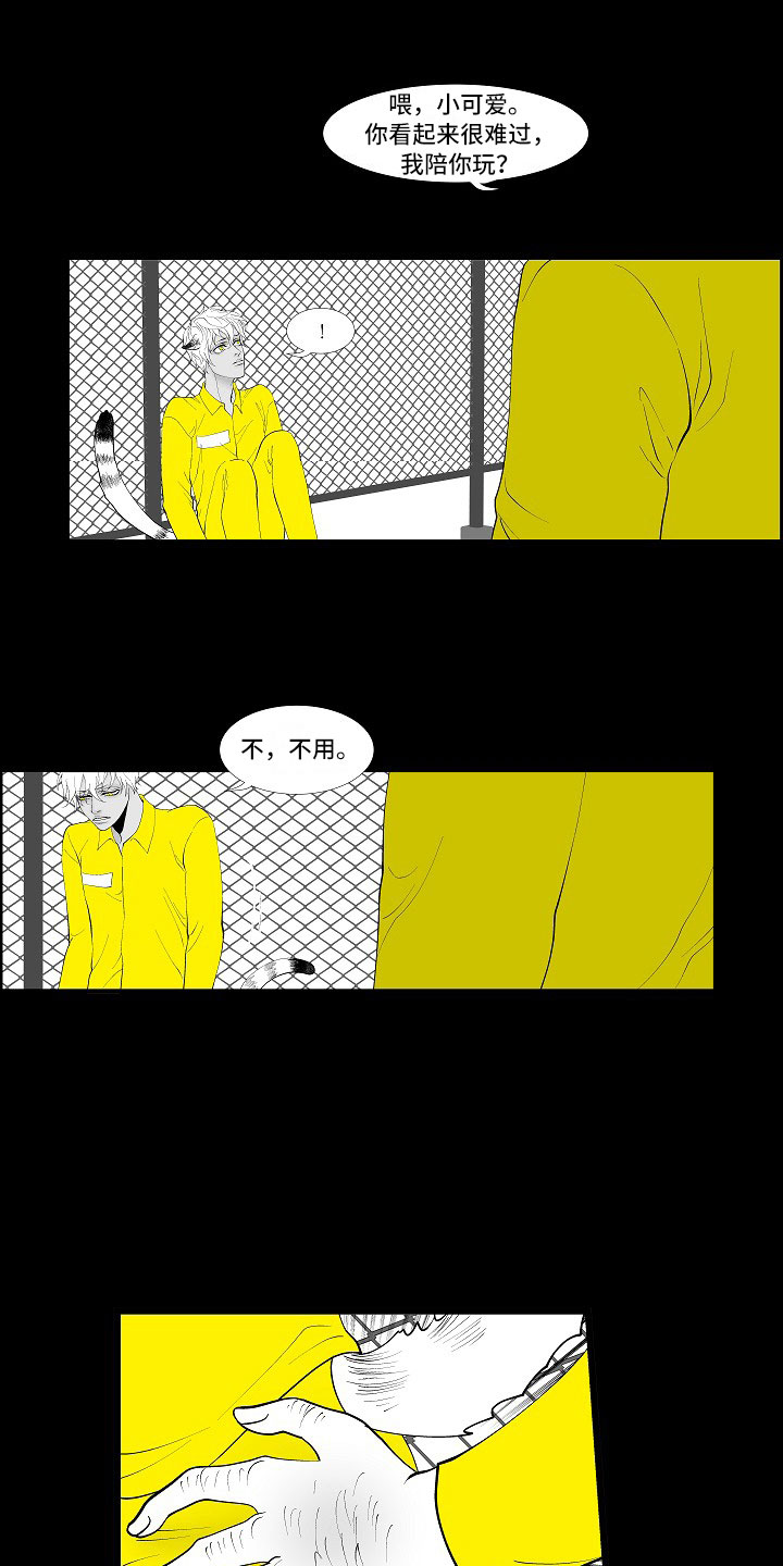 第3章：暗中观察9