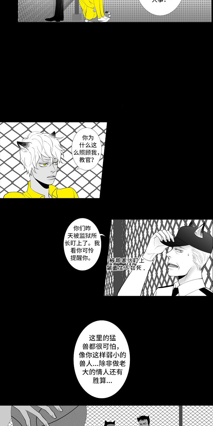 第2章：腥风血雨11