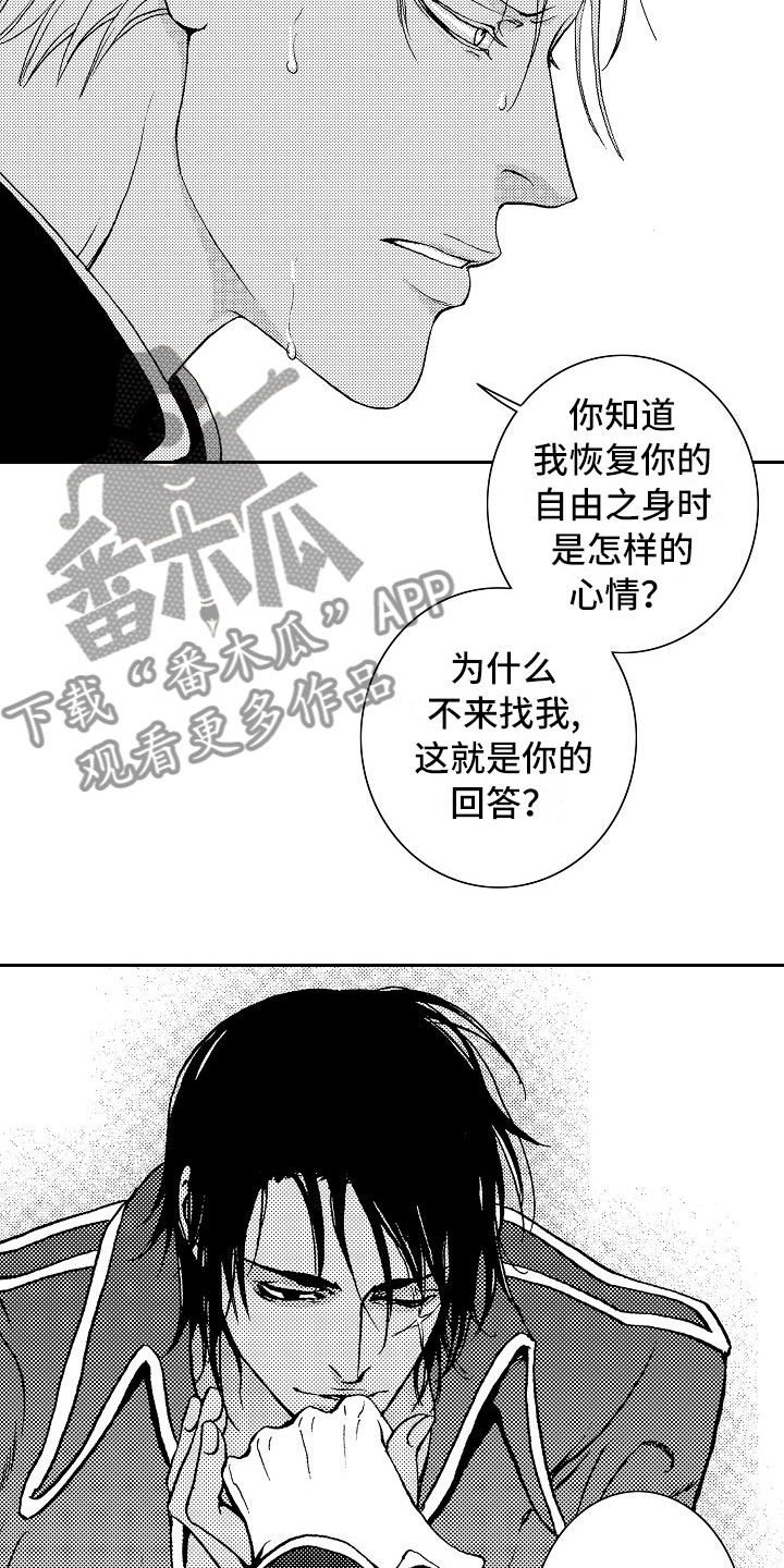 第18章：夜想曲：回答9