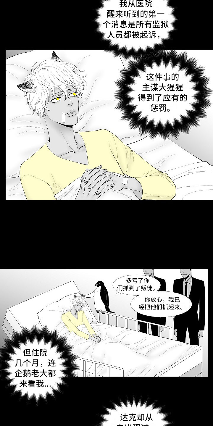 第14章：尘埃落定14
