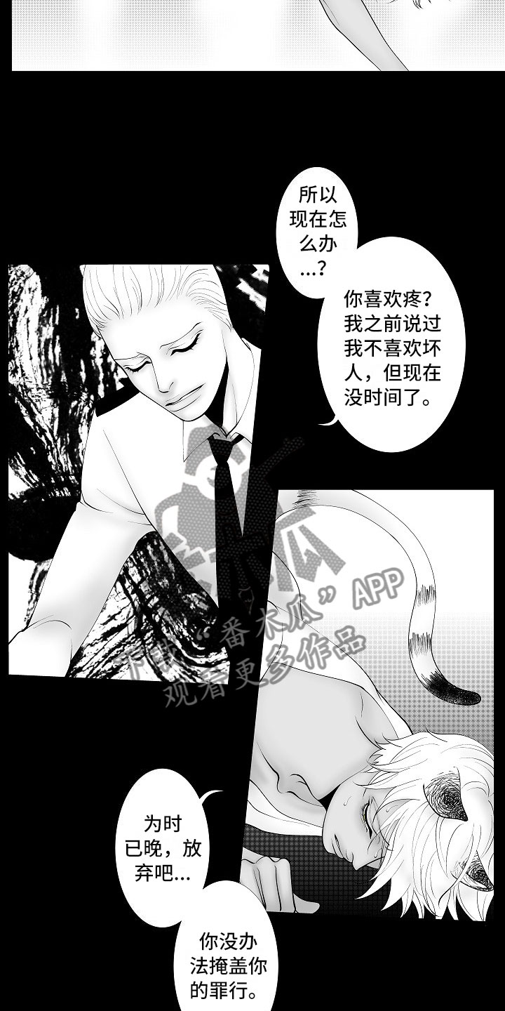 第13章：重要的事13