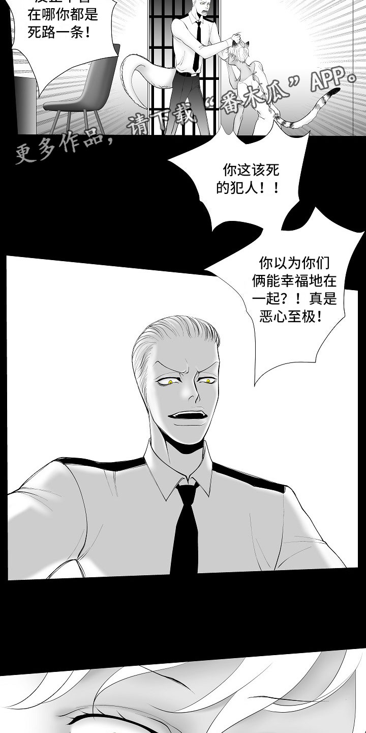 第13章：重要的事15