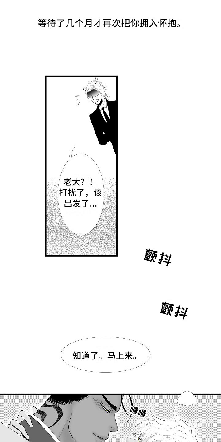 第14章：尘埃落定10