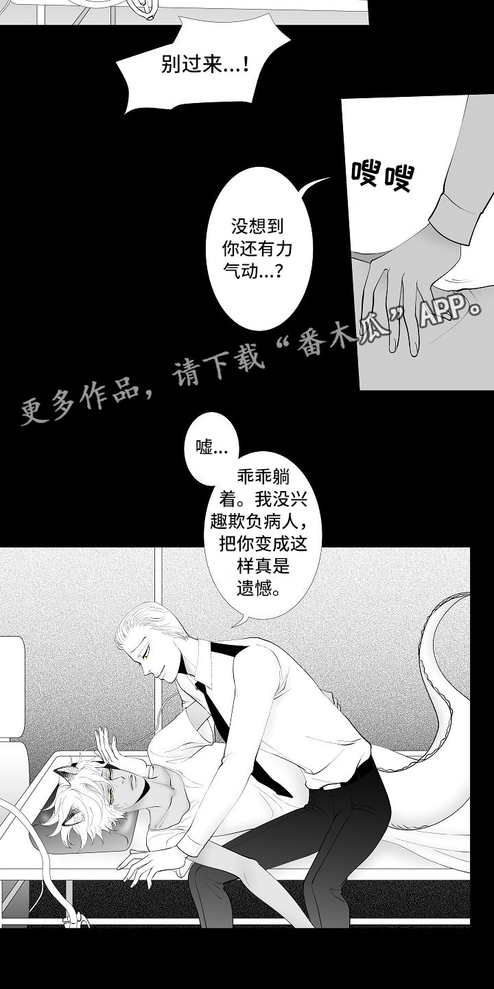 第9章：律师电话5
