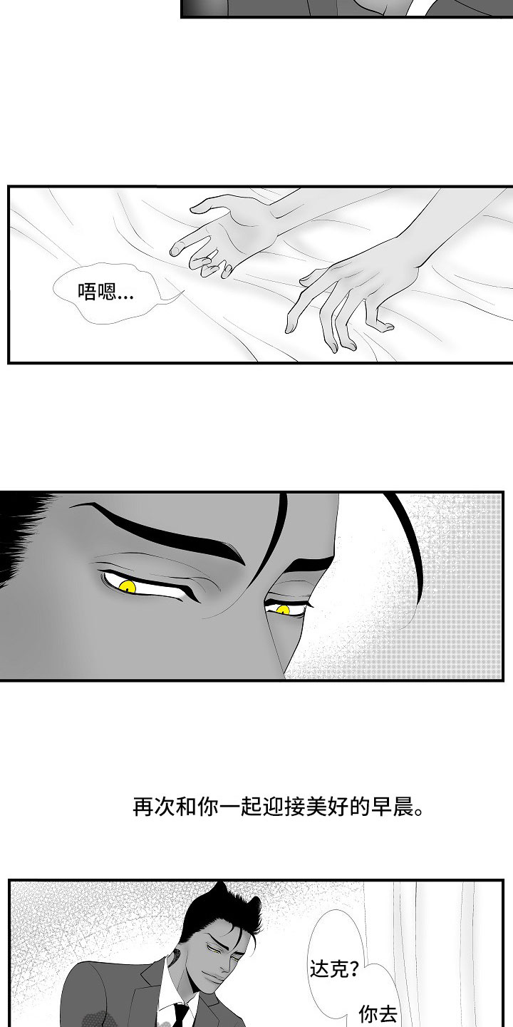 第14章：尘埃落定6