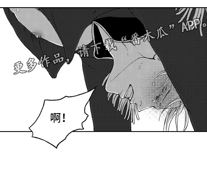 第17章：夜想曲：陷阱20