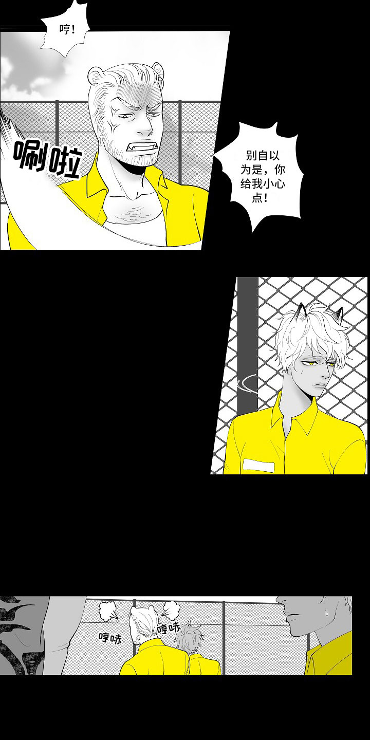 第3章：暗中观察13