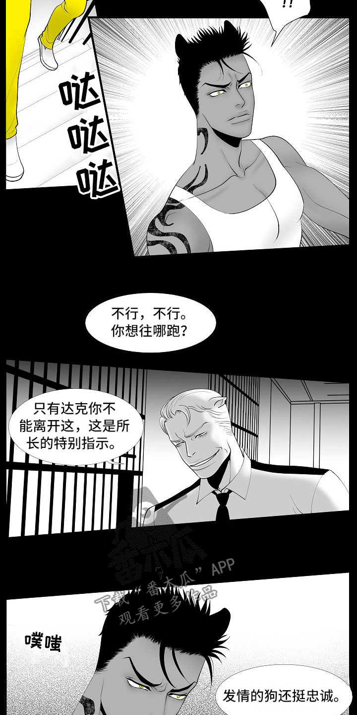 第13章：重要的事10