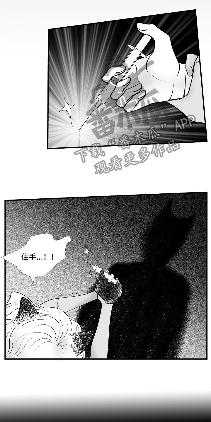 第11章：所长的目的5