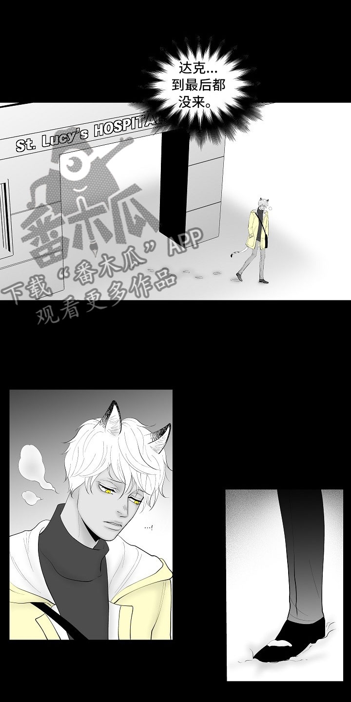 第14章：尘埃落定16