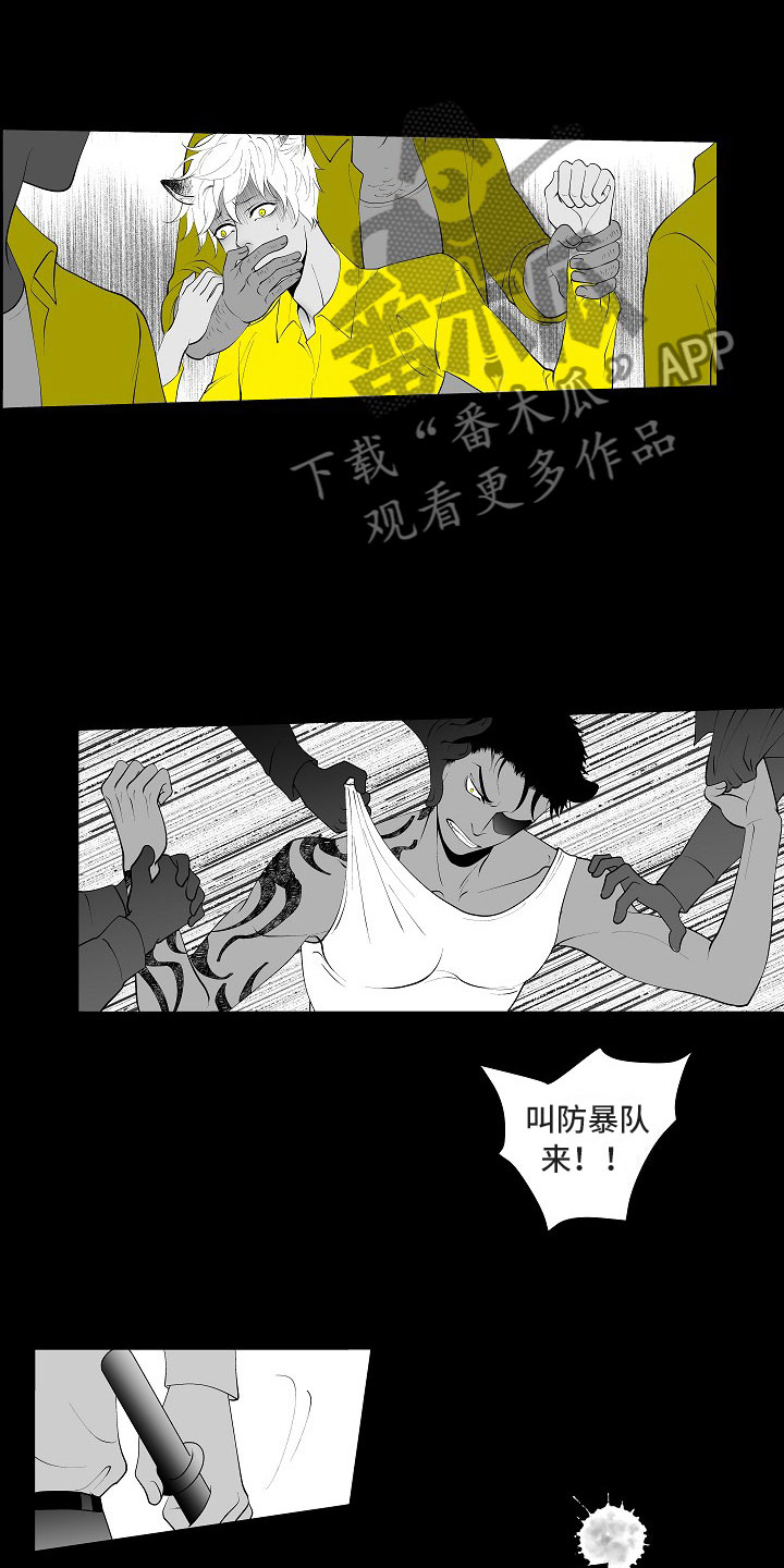 第6章：奋起反抗1