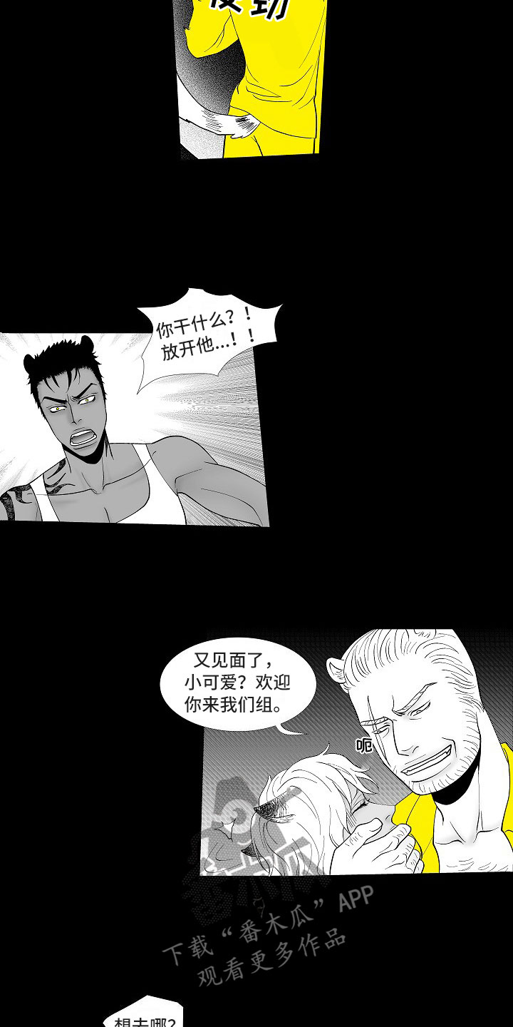 第5章：横插一手12