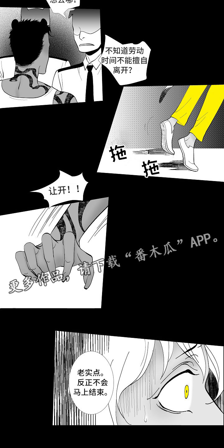 第5章：横插一手13