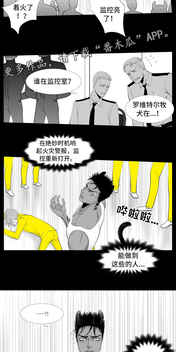 第13章：重要的事5