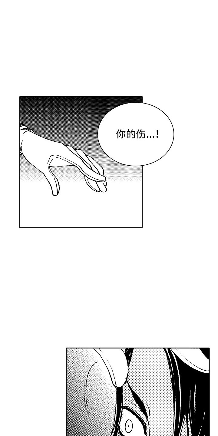 第16章：夜想曲：被捕11