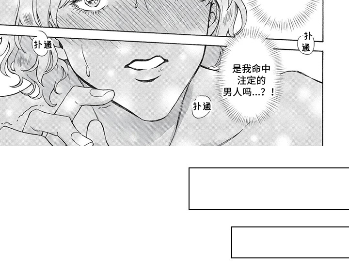 第2章：吸引6