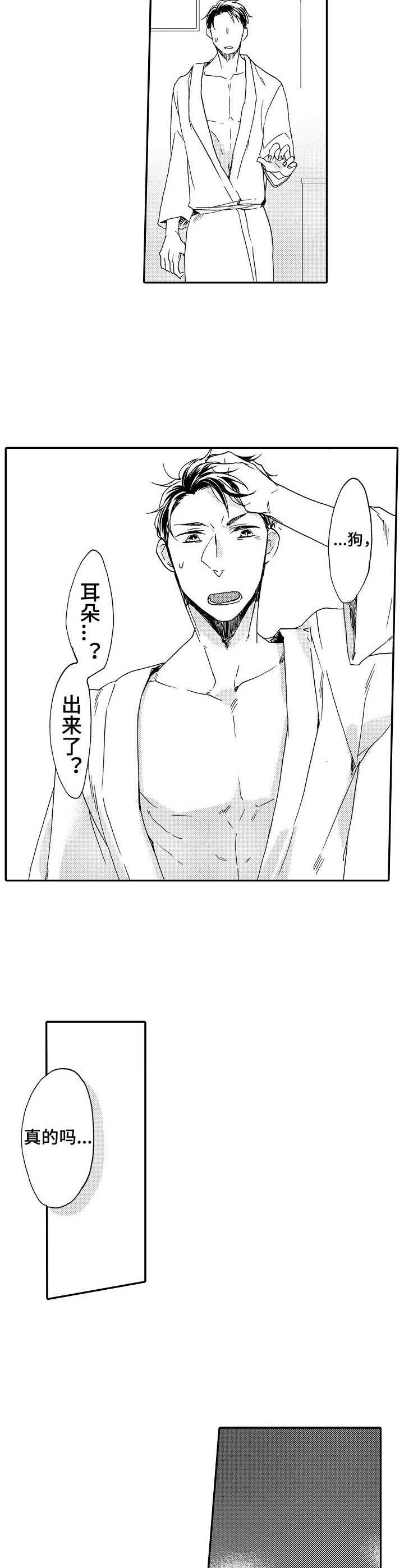 第3章：耳朵5