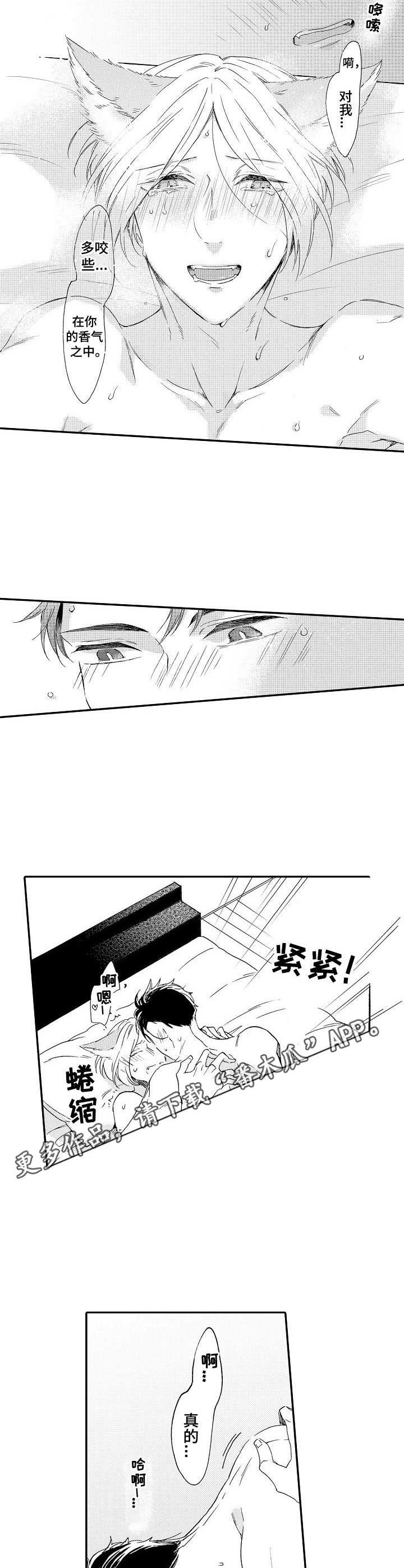 第18章：很特别5
