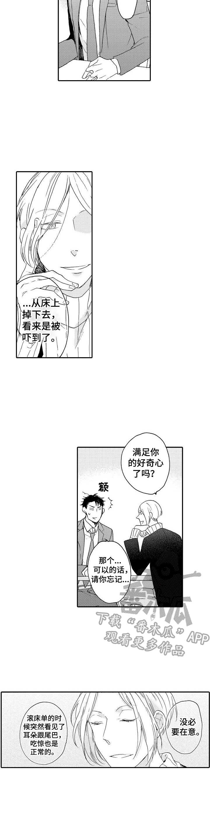 第6章：解释6