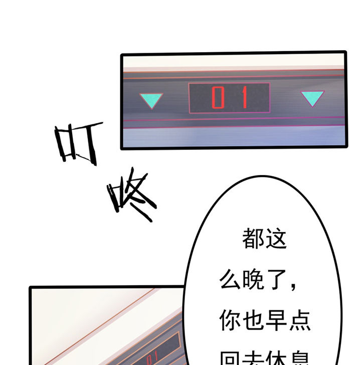 第28章：11