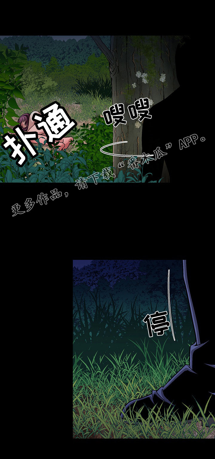 第20章：发狂11