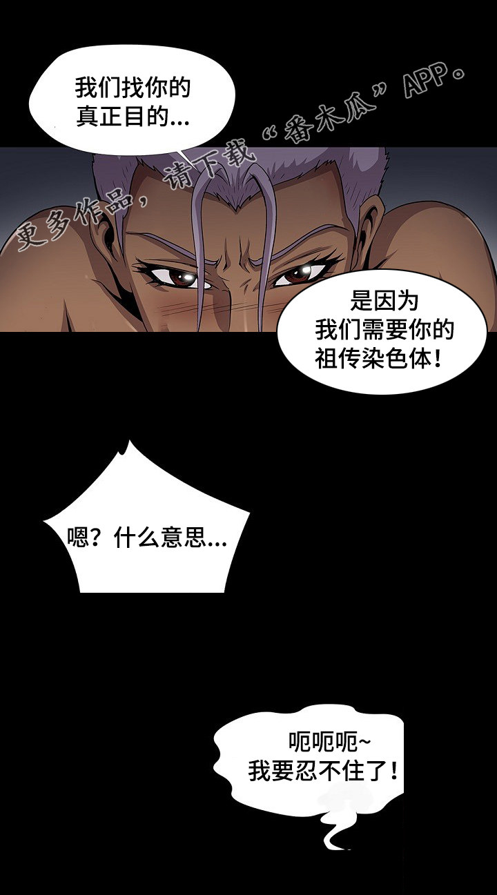 第31章：不错嘛2