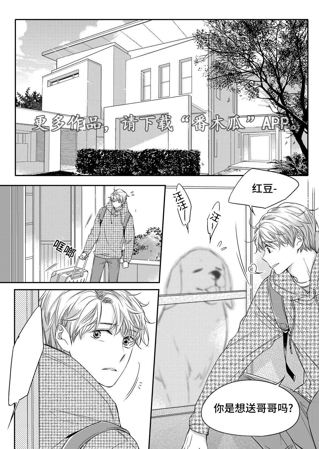 第17章：玩具0