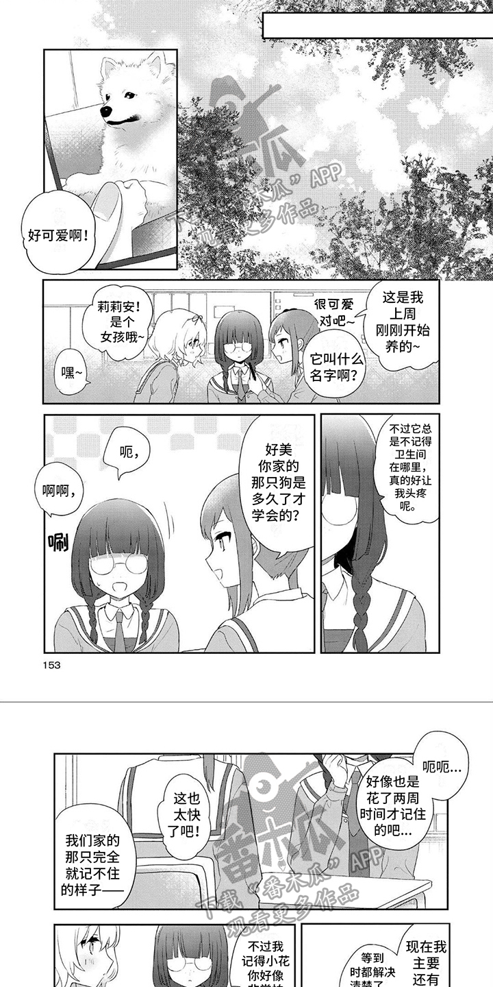 第19章：目击者0