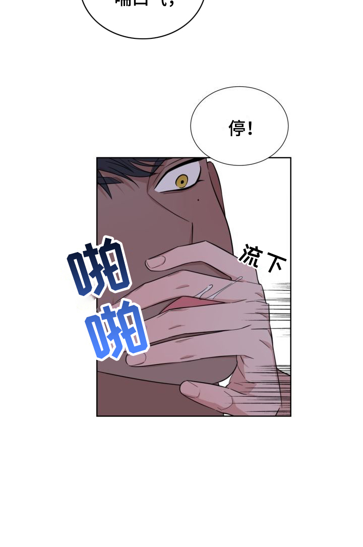 第5章：怂恿17
