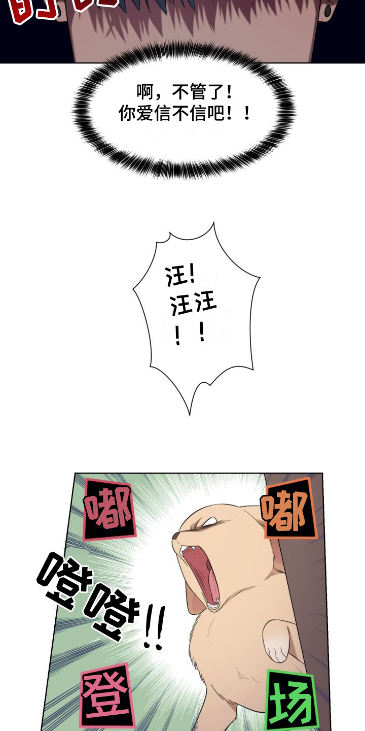 第4章：解释14