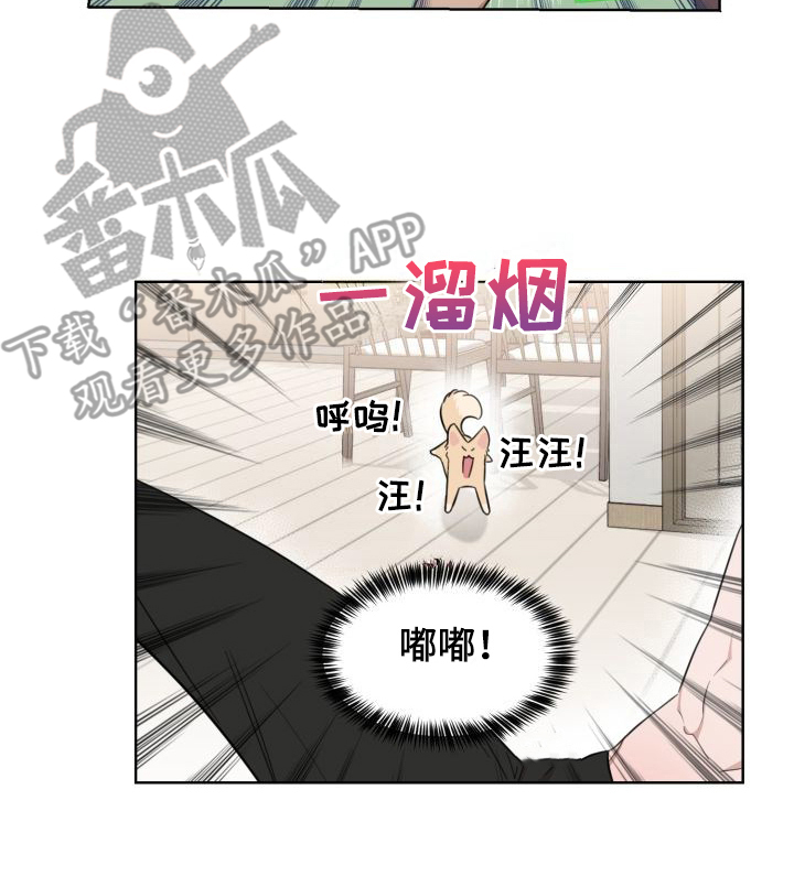 第4章：解释15