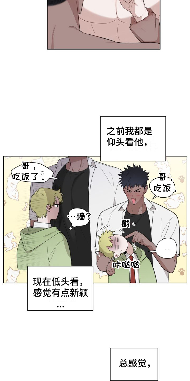 第6章：冲动11