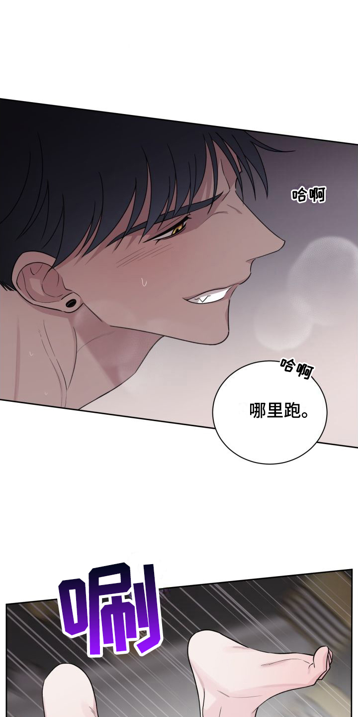 第15章：喜欢你（完结）11