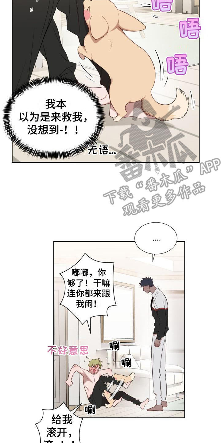 第5章：怂恿1