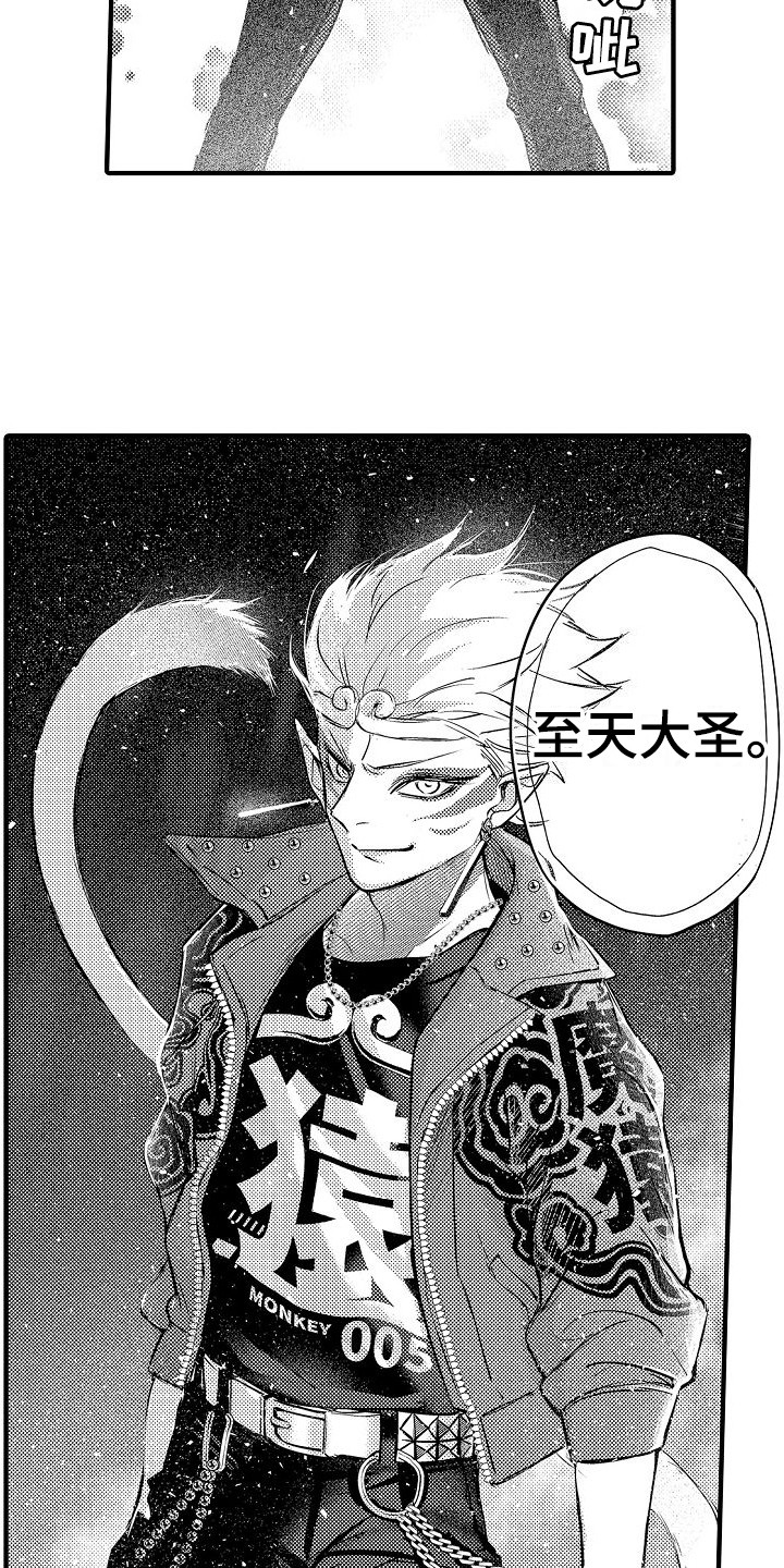 第20章：至天大圣5