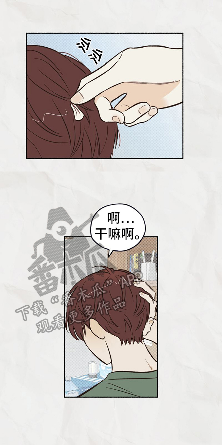 第18章：态度15
