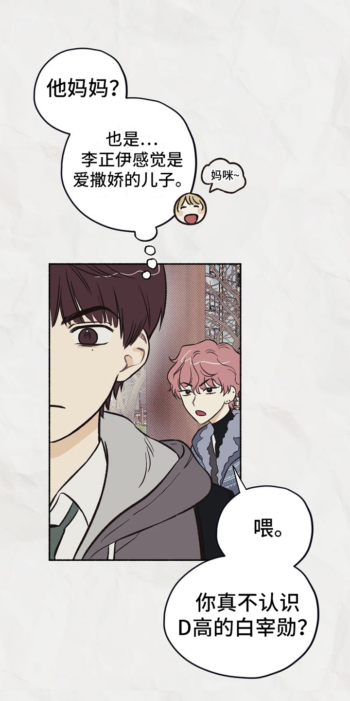 第5章：看法13