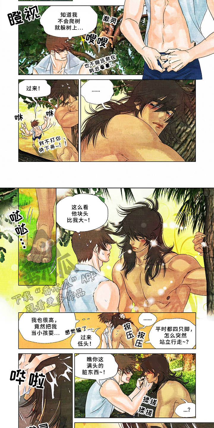 第16章：取名5