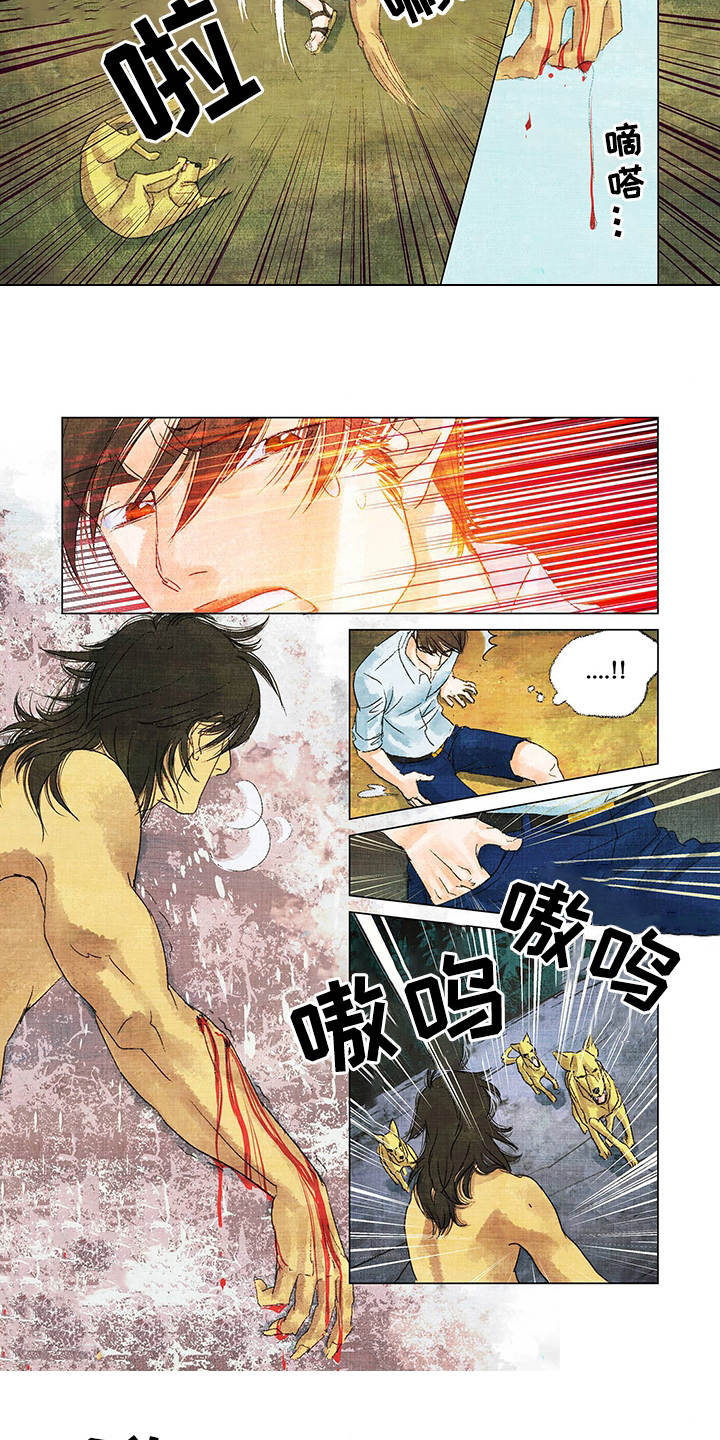 第2章：野狗7