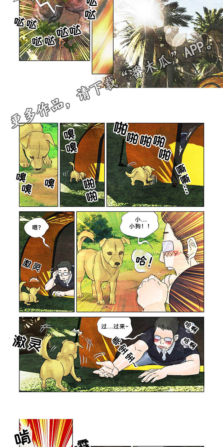 第16章：取名3