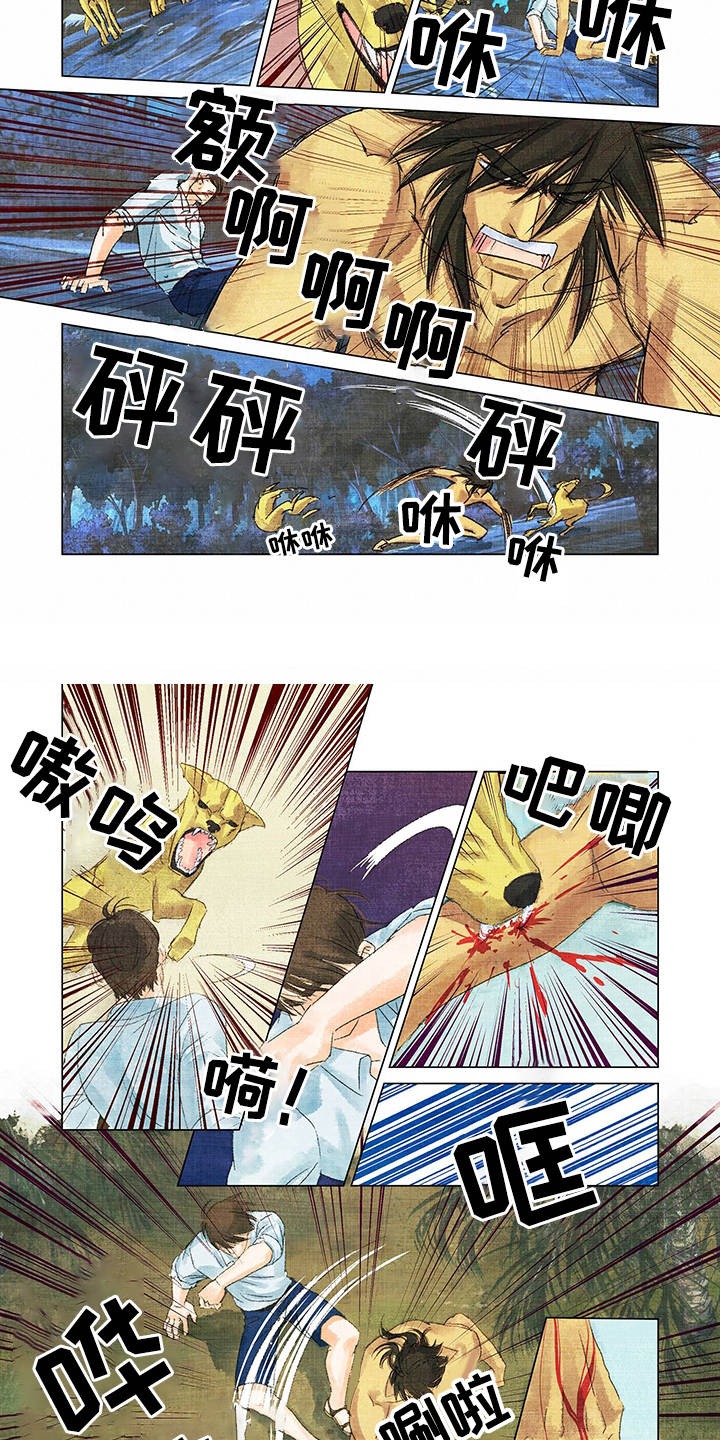 第2章：野狗6