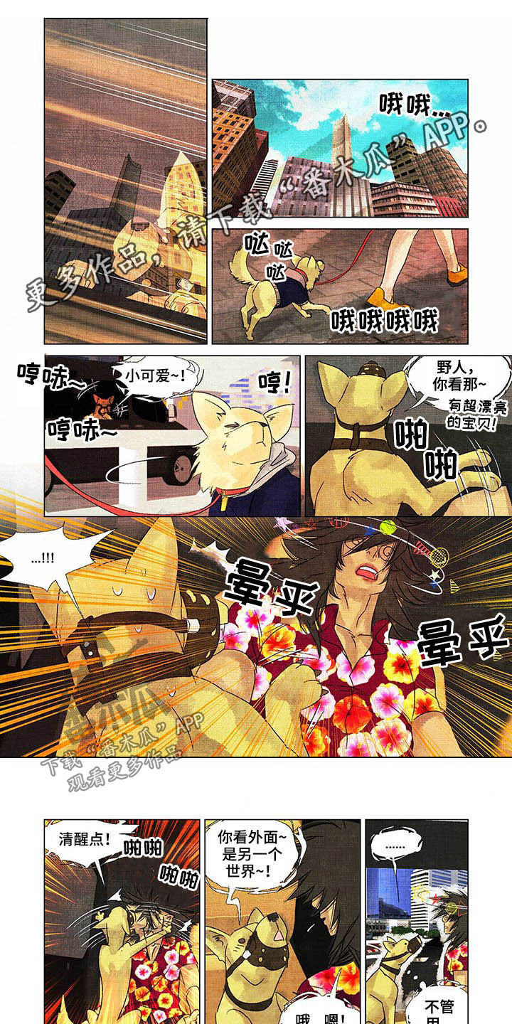 第24章：教导0
