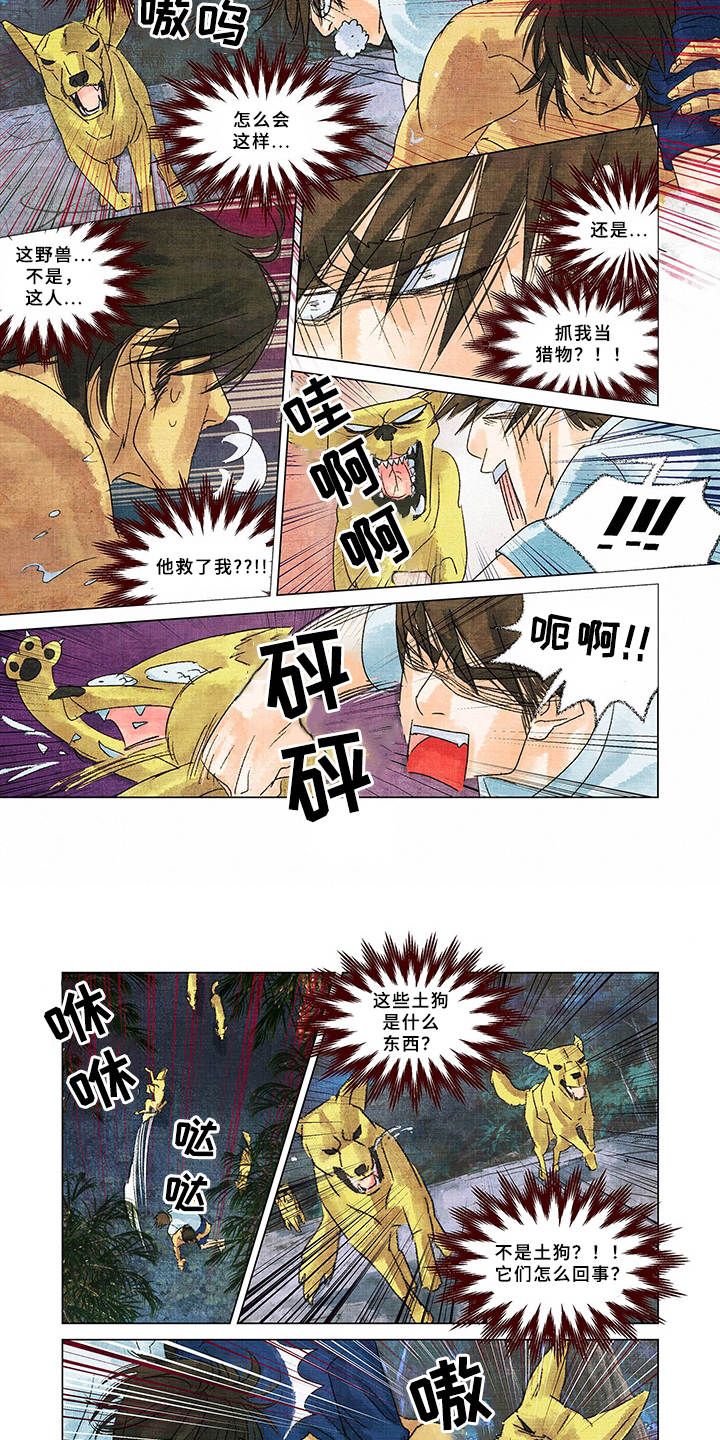 第2章：野狗3