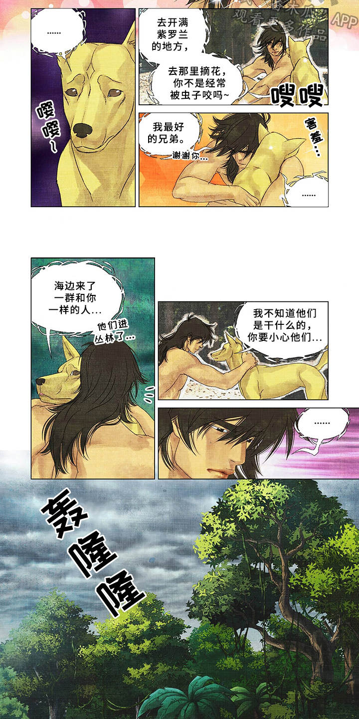 第11章：捕食4