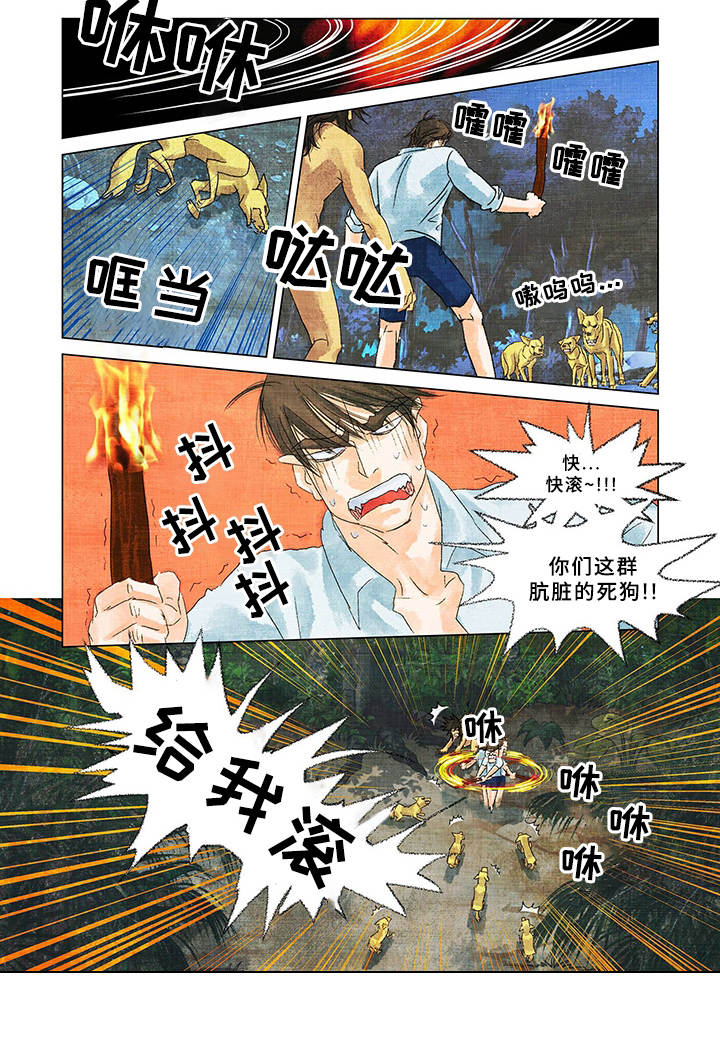 第2章：野狗8