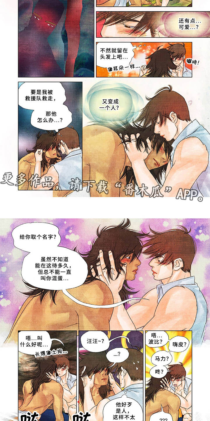 第16章：取名1